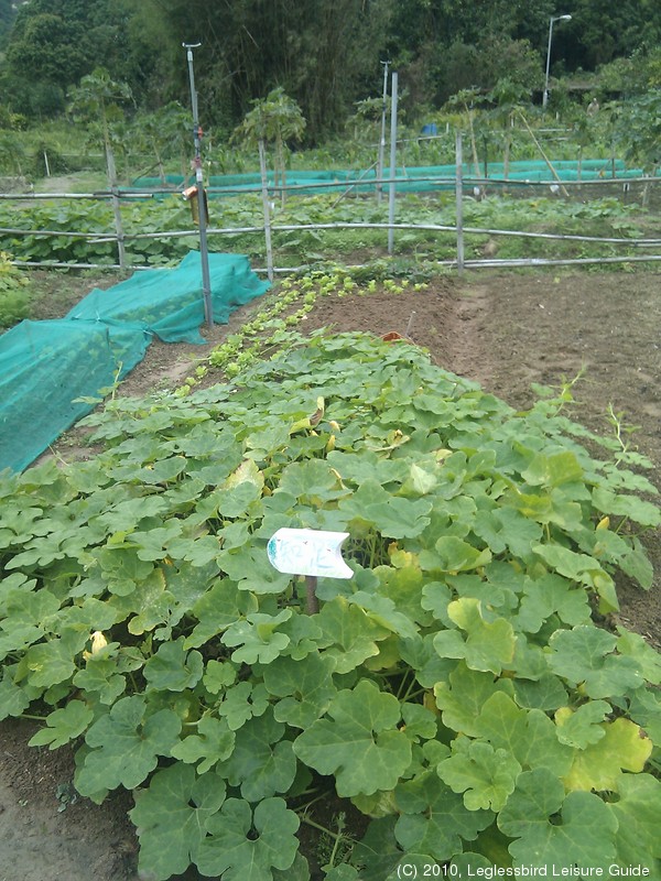20100215Farm Visit29.jpg